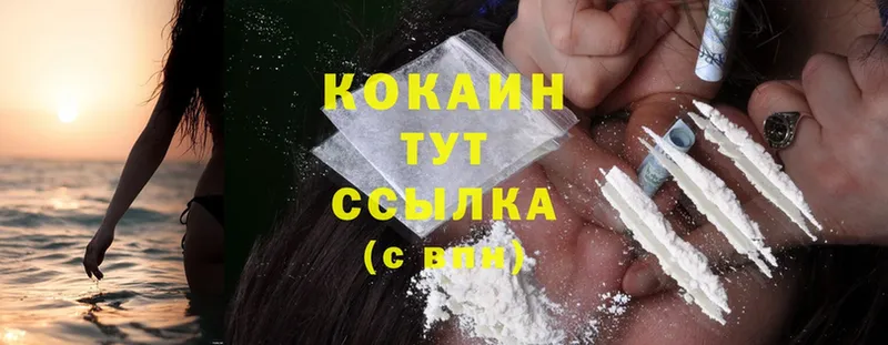 кракен ССЫЛКА  цена наркотик  Полярные Зори  Cocaine FishScale 